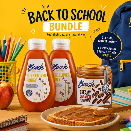 BACK TO SCHOOL BUNDLE 2